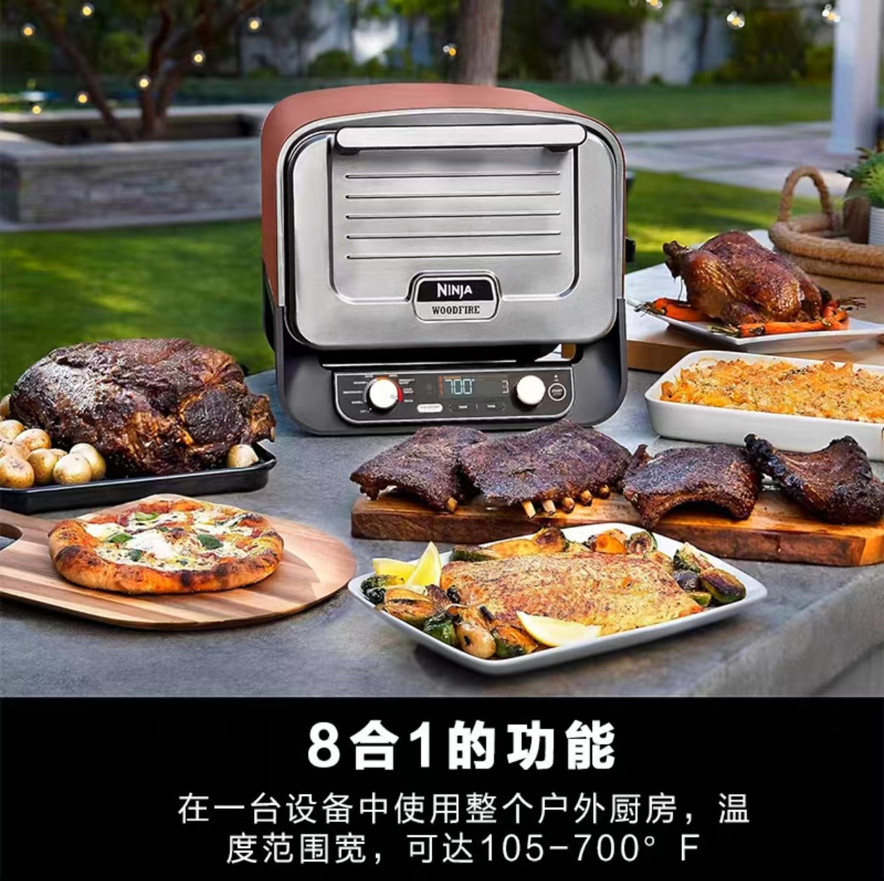 2026 Buitenpizzaoven voor elek - Camping Cooking Ovens recensie en prijs